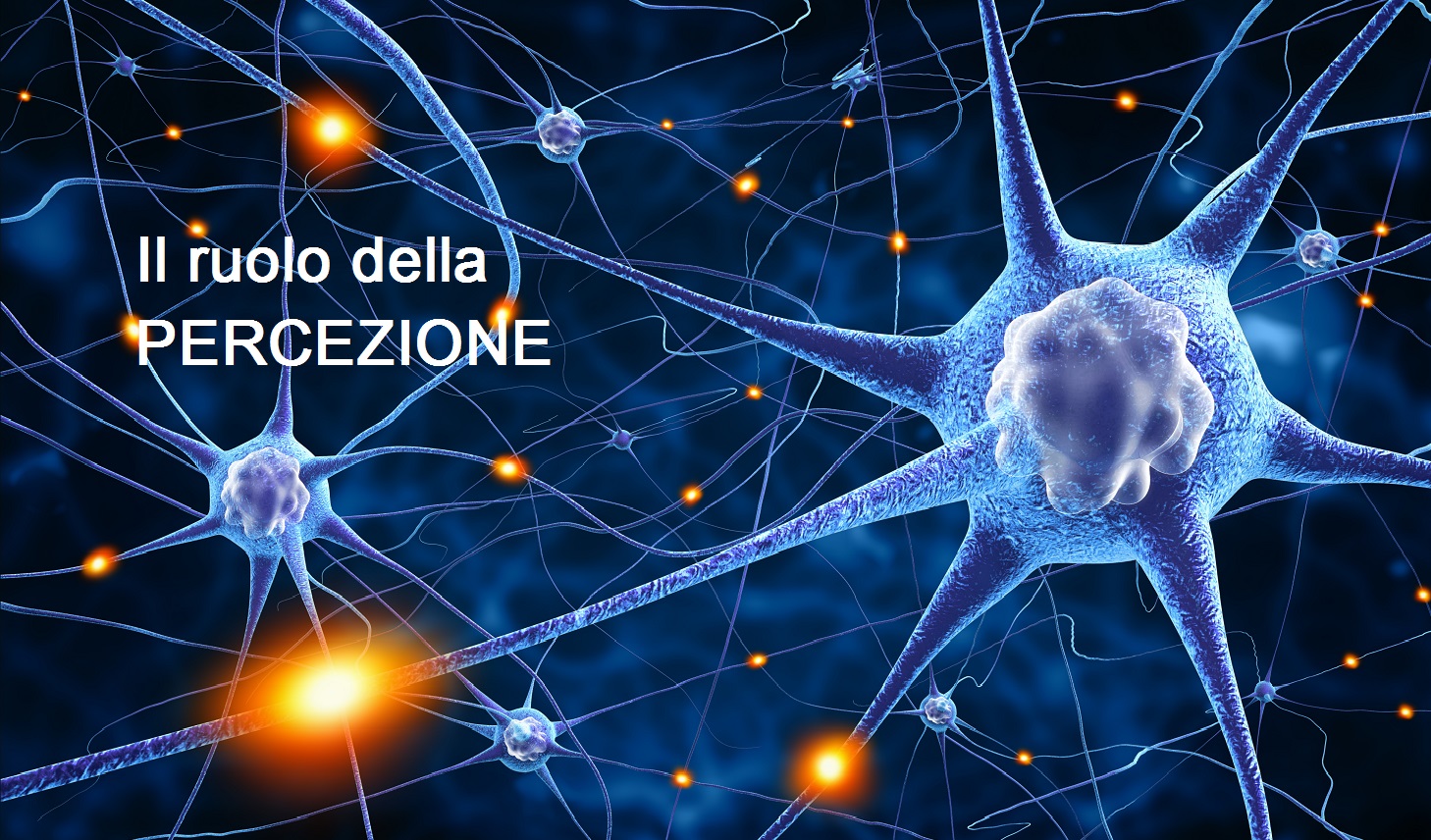 IPERSENSIBILE: ruolo della PERCEZIONE