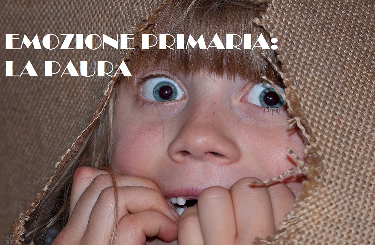 EMOZIONE PRIMARIA: LA PAURA