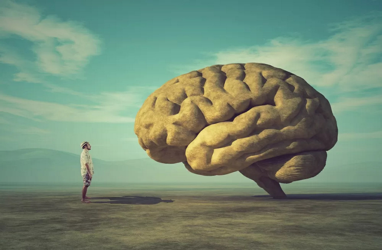 IPERSENSIBILE: UN CERVELLO CURIOSO!