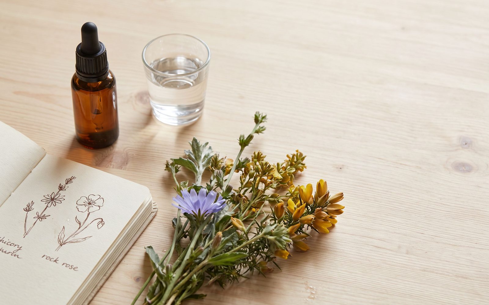 Boccetta contagocce e fiori di campo su tavolo in legno: counseling coi Fiori di Bach